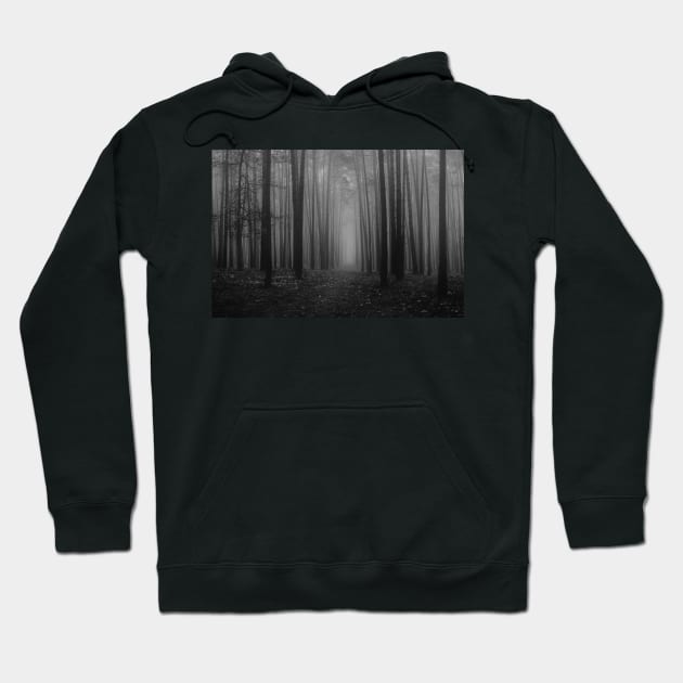 black and white foggy woods folklore taylor swift Hoodie by opptop